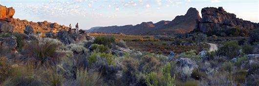 Cederberg Ridge